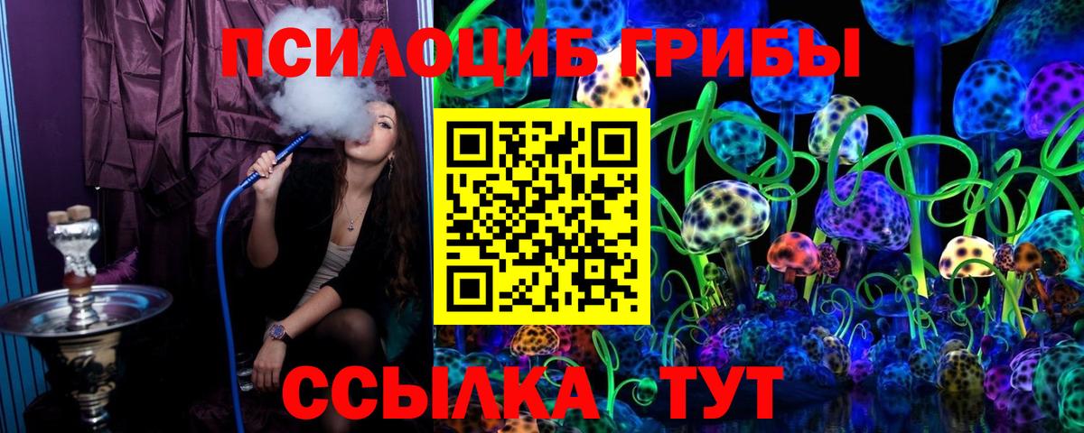 Псилоцибиновые грибы Psilocybine cubensis Клинцы