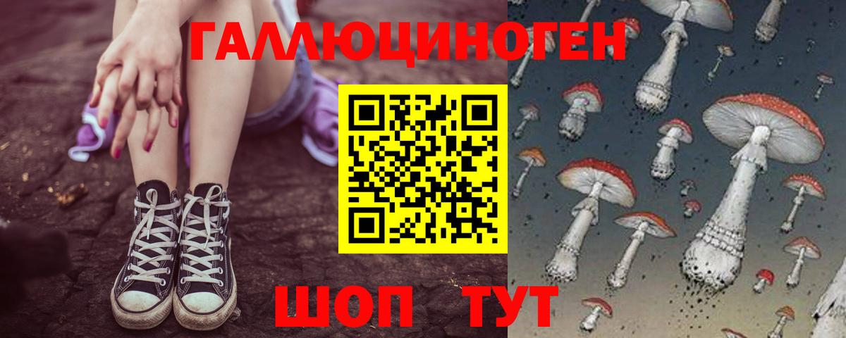 Клинцы  Псилоцибиновые грибы GOLDEN TEACHER  Вход с VPN 